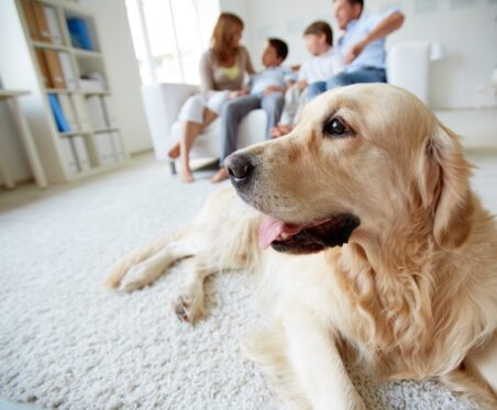 New Jersey family and their dog enjoying their home.